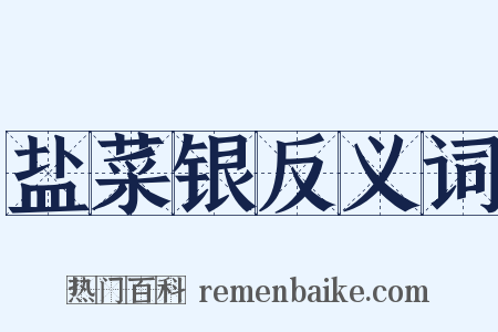 盐菜银反义词是什么意思的图片